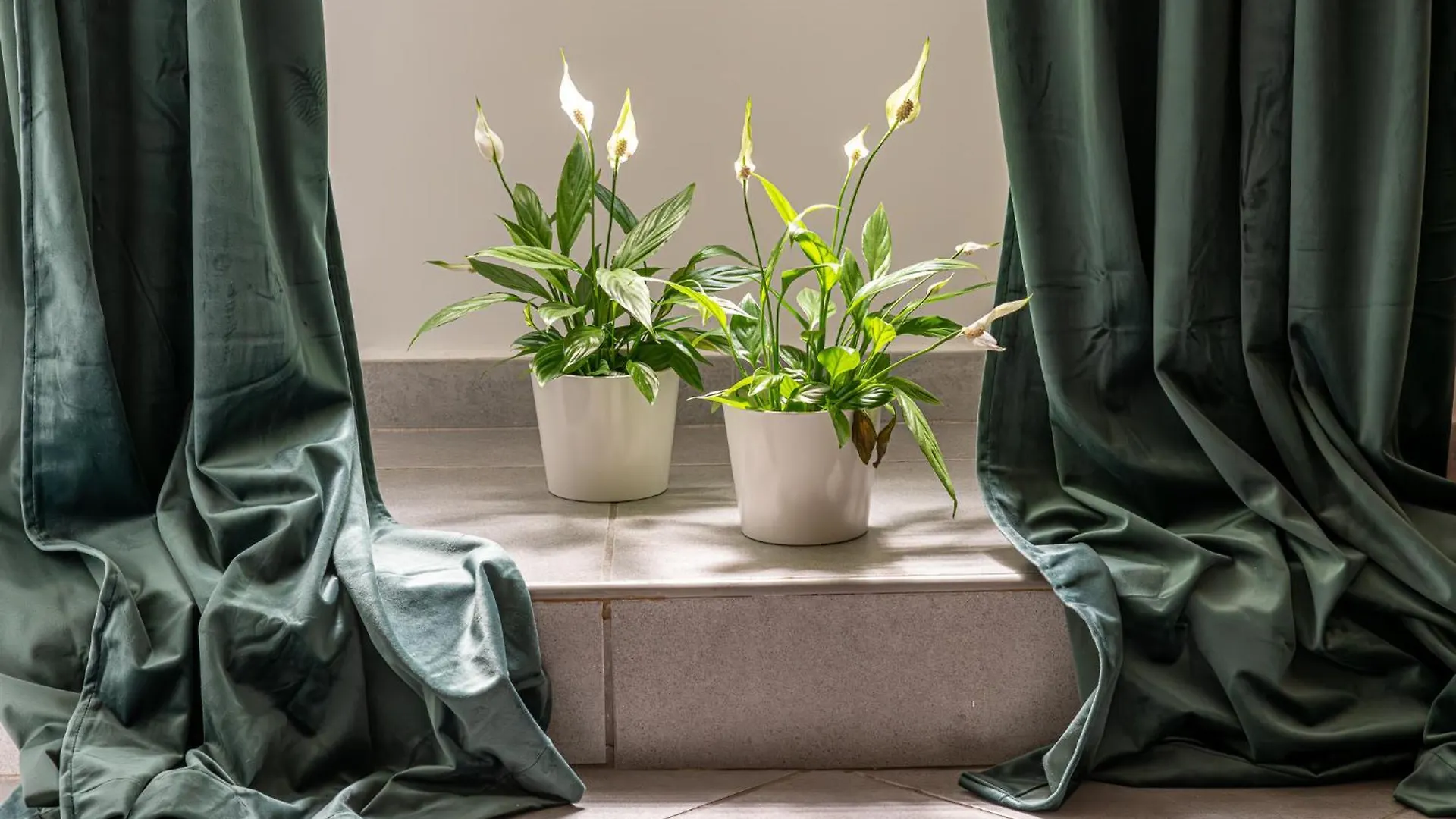 Belle Arti Home Rome Apartment